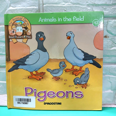 Pigeons - BKLT50987