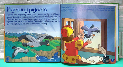 Pigeons - BKLT50987