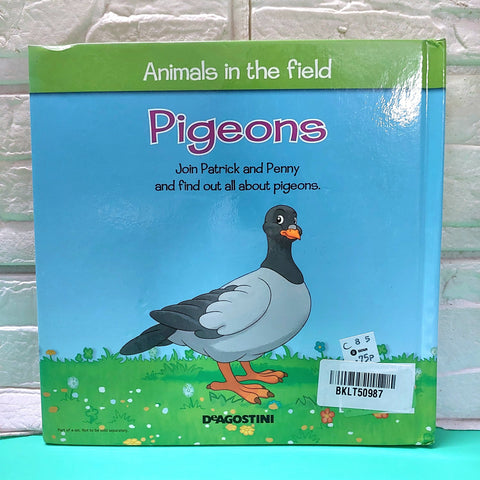 Pigeons - BKLT50987