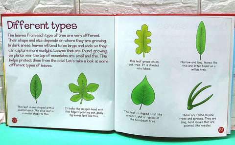 Whoo Pls But It Wasn’T Me - BKLT50995