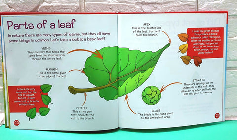 Whoo Pls But It Wasn’T Me - BKLT50995