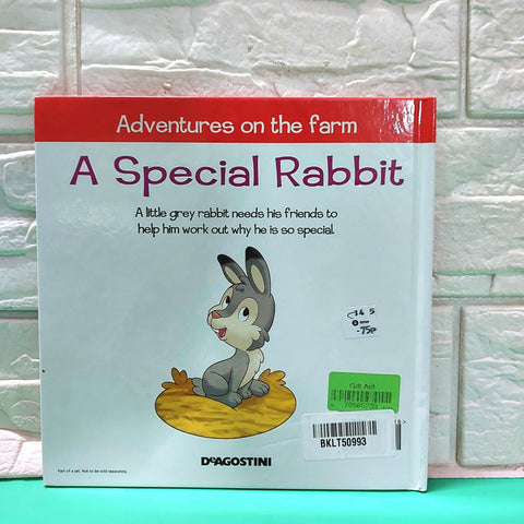 A Special Rabbit - BKLT50993