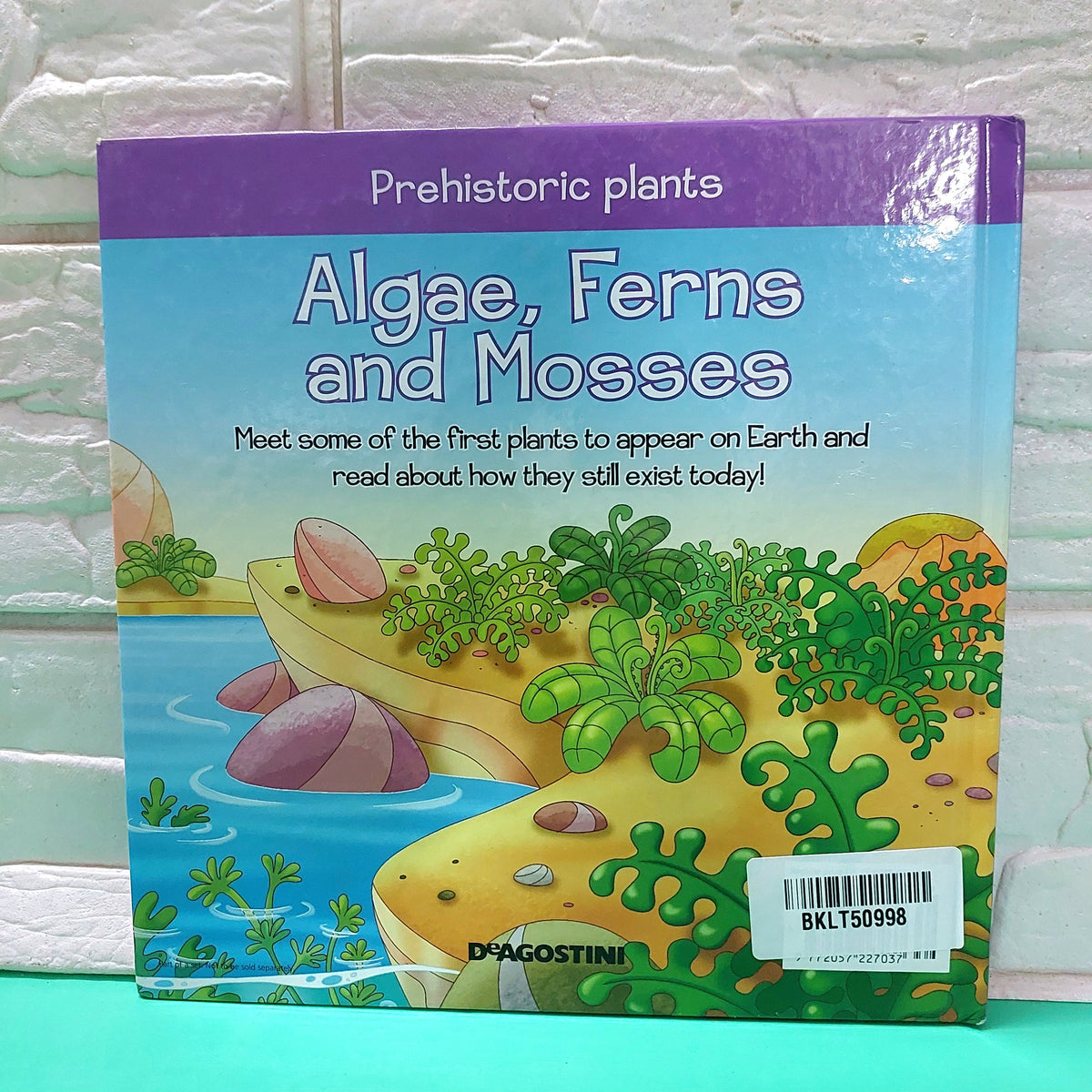 Algae Terns And Mosses - BKLT50998
