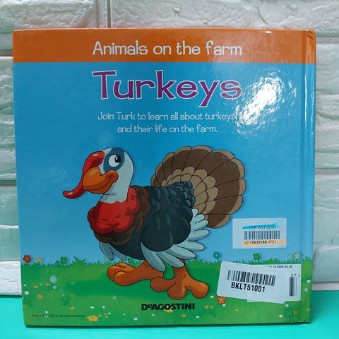Turkeys - BKLT51001