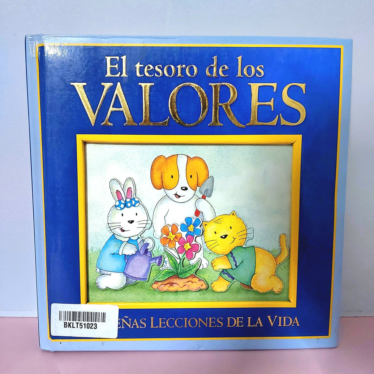 El Tesoro De Los Valores - BKLT51023