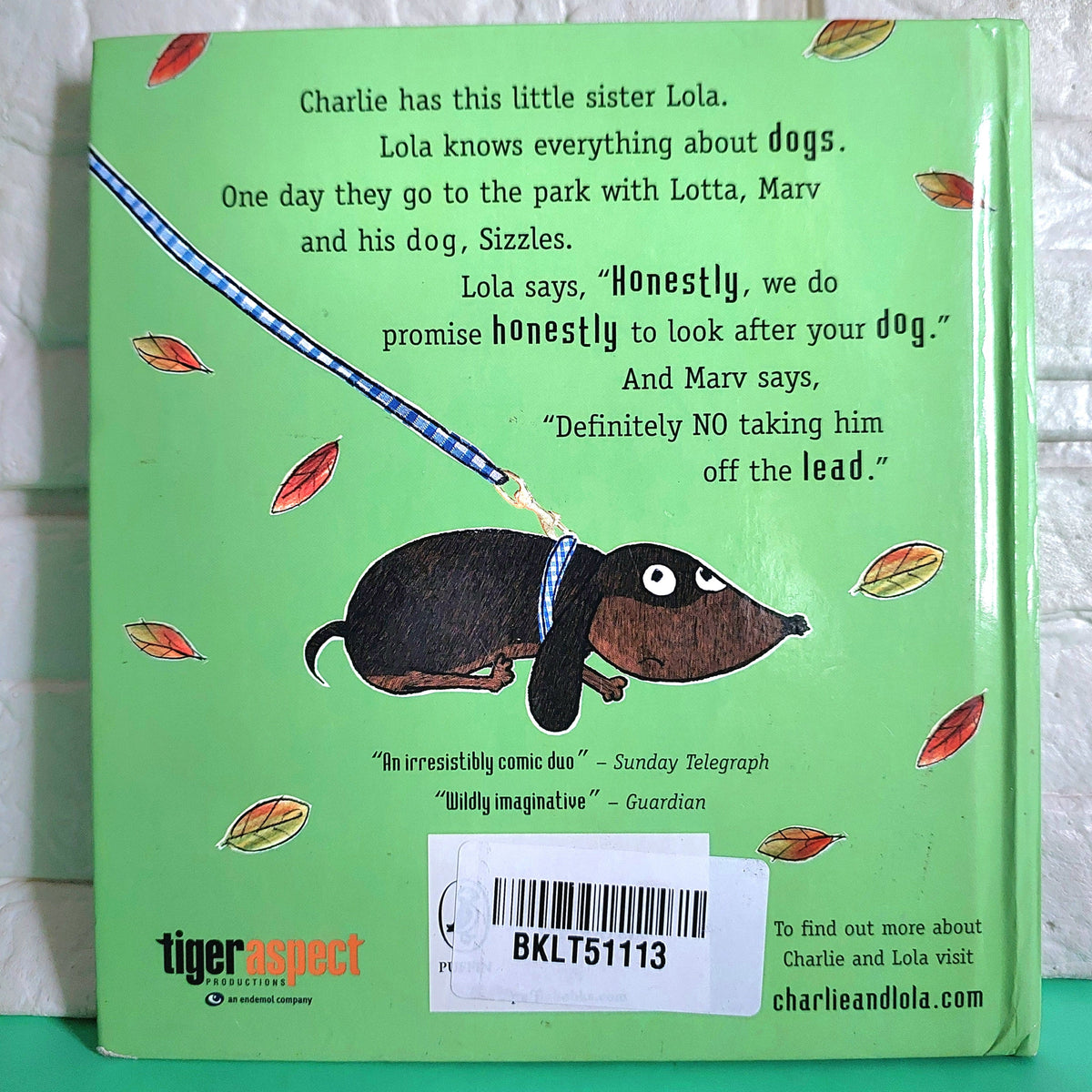 We Honestly Can Look After Your Dog - BKLT51113