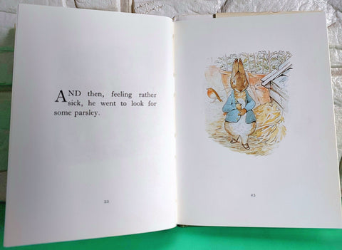 The Tale Of Petter Rabbit - BKLT51118