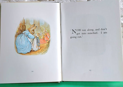The Tale Of Petter Rabbit - BKLT51118
