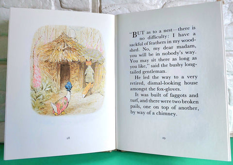 The Tale Of Jemims Duddle Duck - BKLT51135