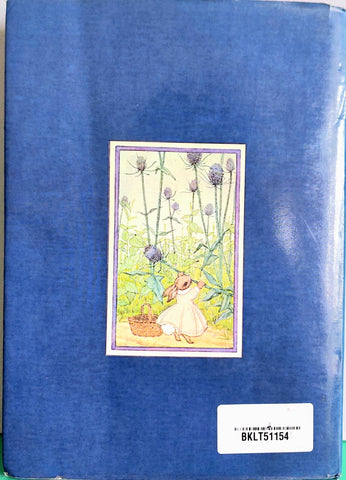 Little Grey Rabbit - BKLT51154