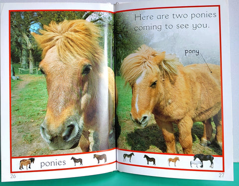 Farm Animals - BKLT51175