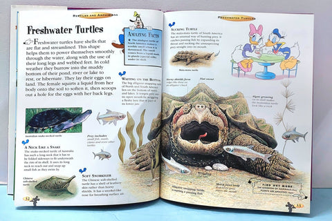 Reptiles And Amphibians - BKLT51332