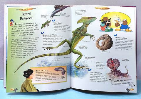 Reptiles And Amphibians - BKLT51332
