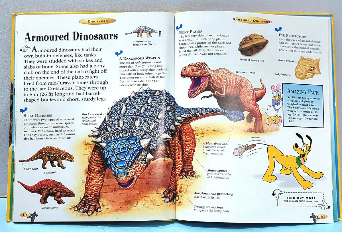 Dinosaurs - BKLT51343