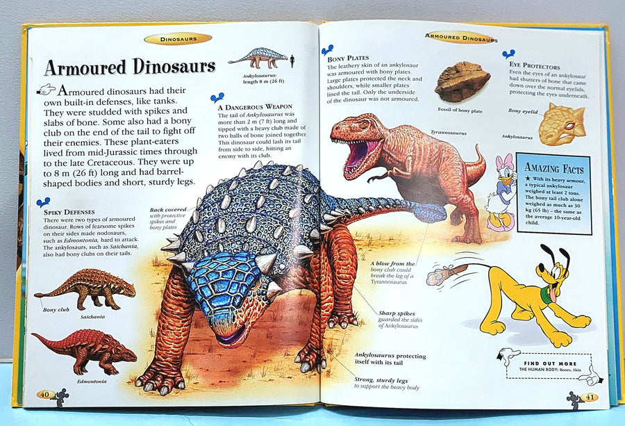 Dinosaurs - BKLT51343