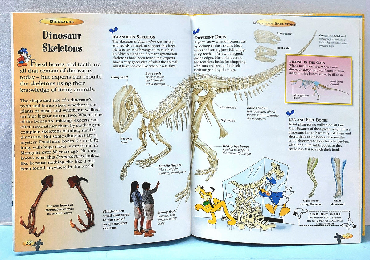 Dinosaurs - BKLT51343