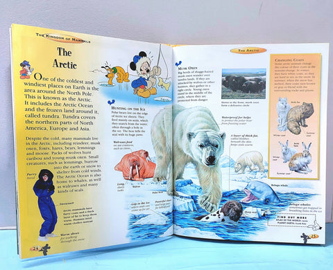 The Kingdom Mammals - BKLT51345