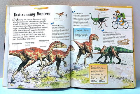 Dinosaurs - BKLT51349