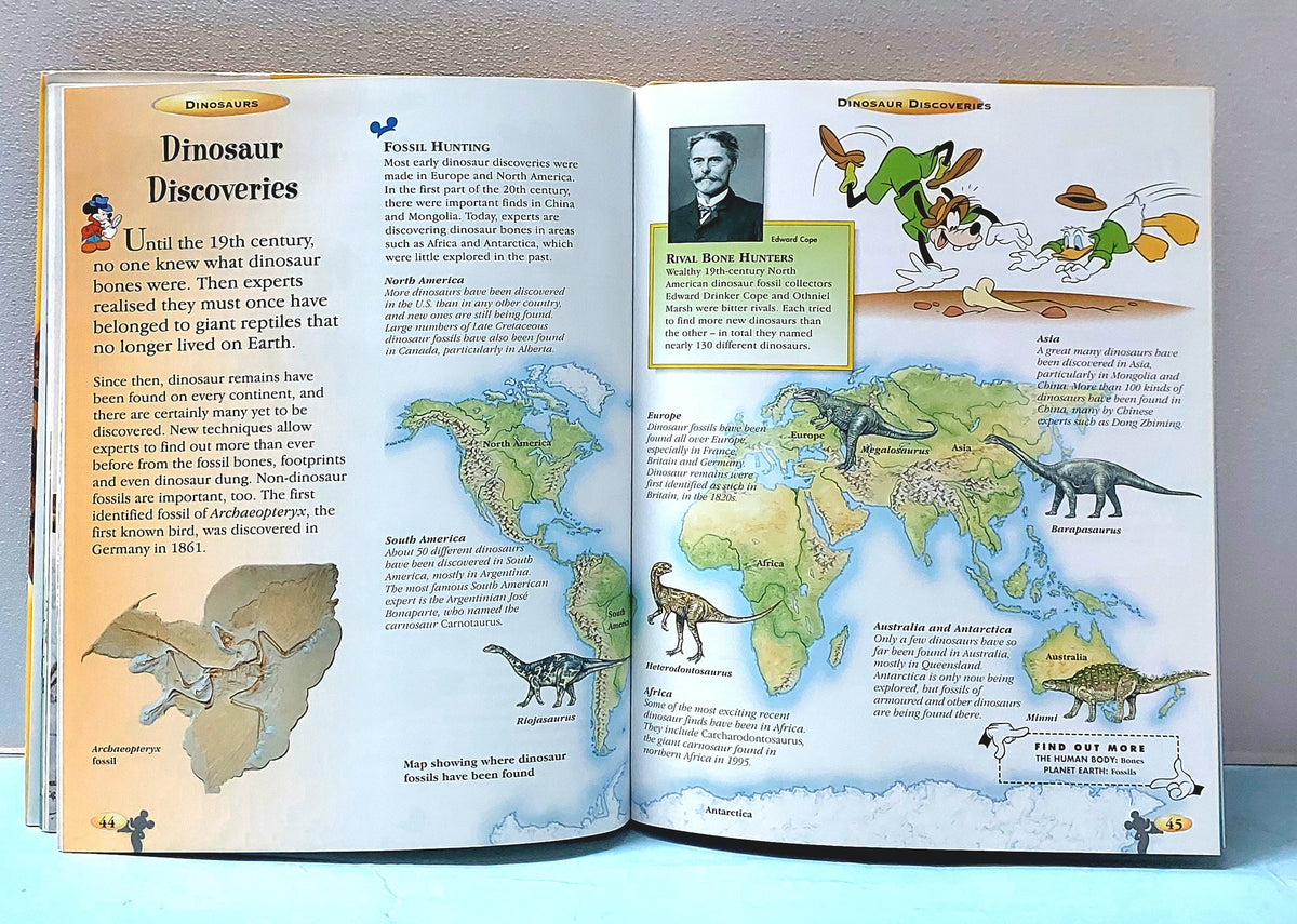 Dinosaurs - BKLT51349