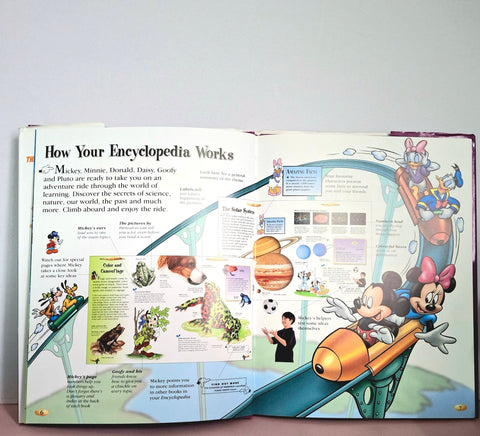 Wonder'S Of The Sea - BKLT51352