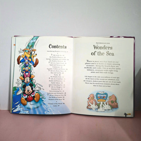 Wonder'S Of The Sea - BKLT51352