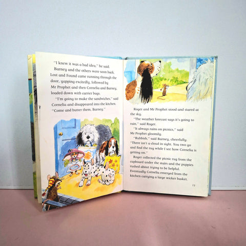 Barney And The Picnic - BKLT51357