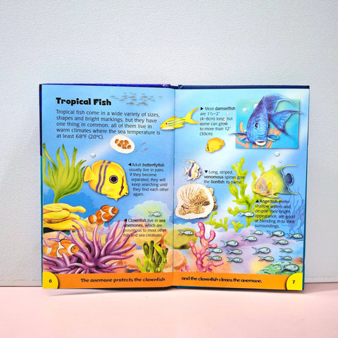 Under The Sea - BKLT51368