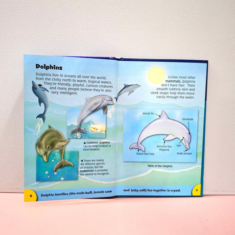 Under The Sea - BKLT51368