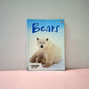 Bears - BKLT51397