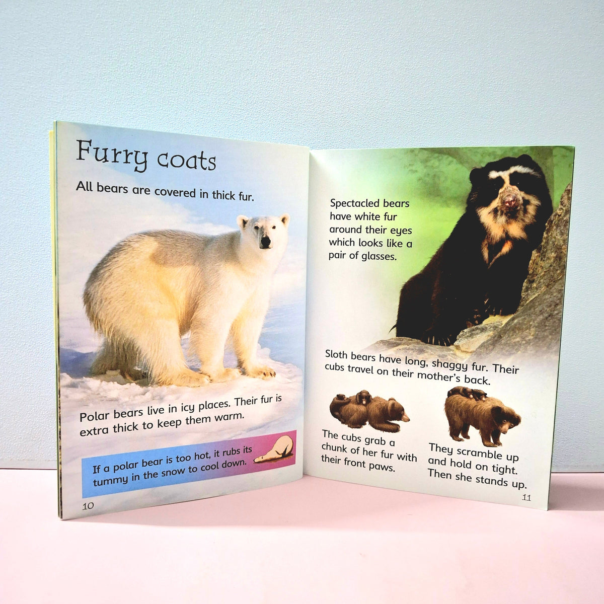 Bears - BKLT51397