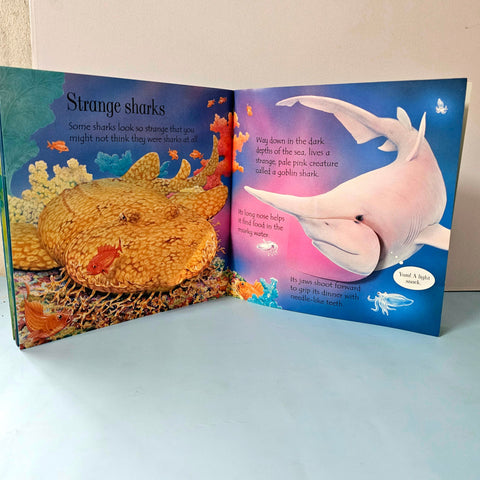 Lift The Flap Sharks - BKLT51522