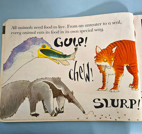 Chomp Munch Chew - BKLT51534