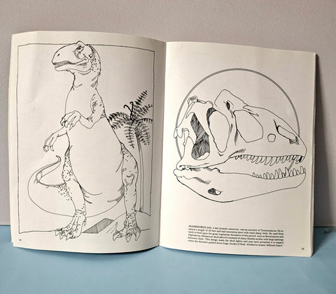 The Dinosaur Coloring Book - BKLT51535