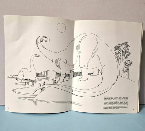 The Dinosaur Coloring Book - BKLT51535