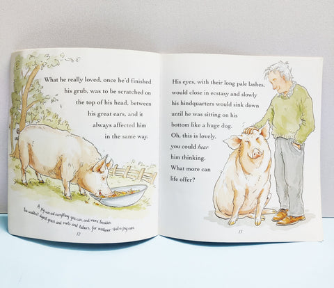 All Pigs Are Beautiful - BKLT51555