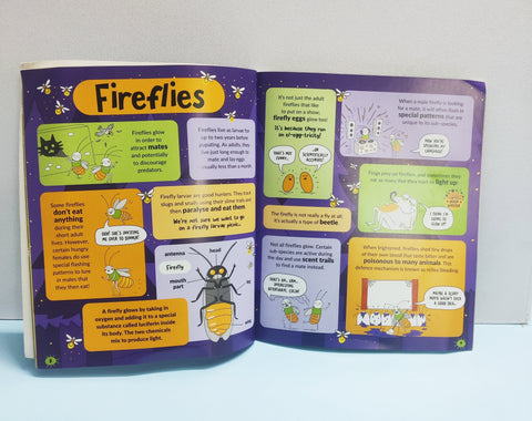 Brain Bursts Bugs - BKLT51584