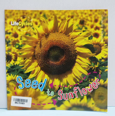Seed To Sunflower - BKLT51601