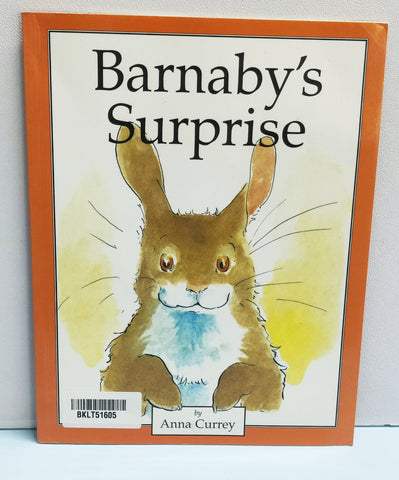 Barnaby'S Surprise - BKLT51605