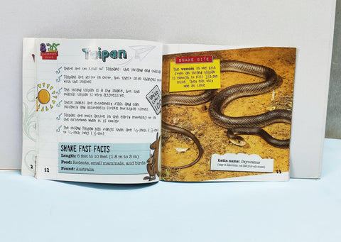Snake Bites - BKLT51620