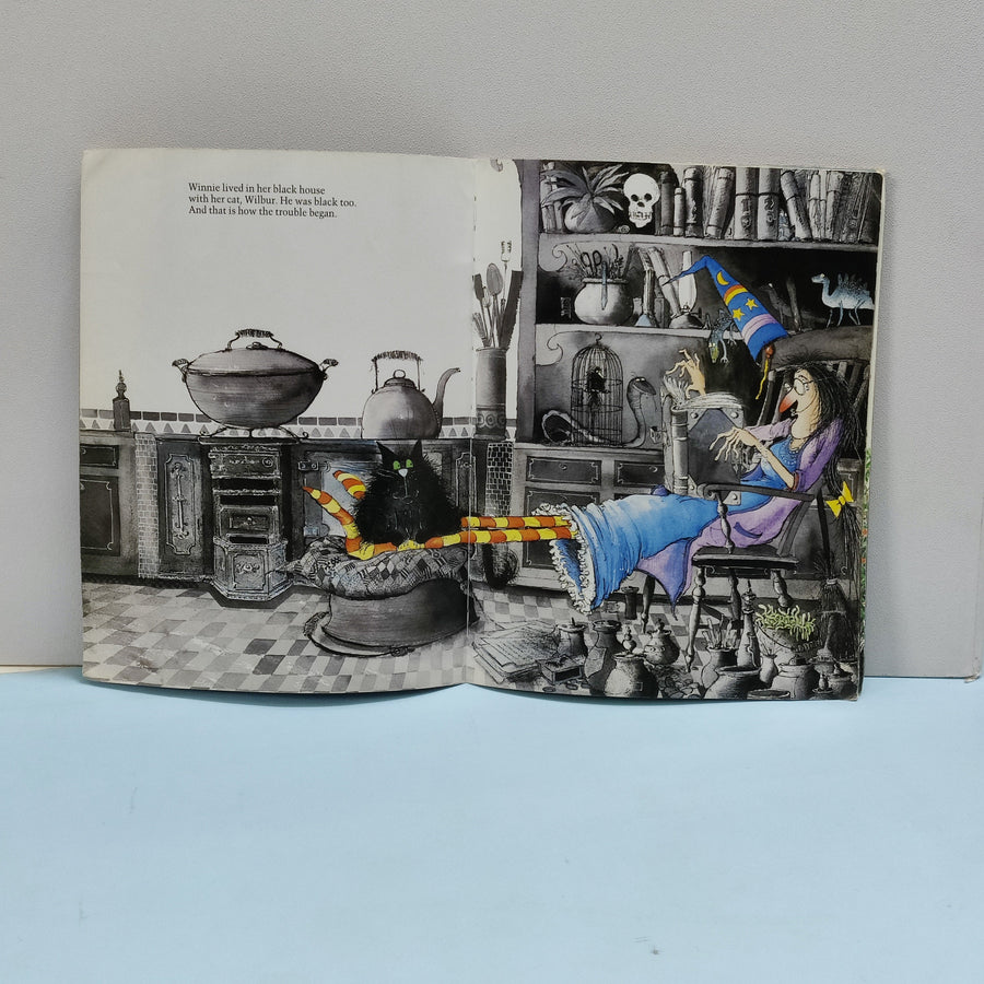 Winnie The Witch - BKLT51644