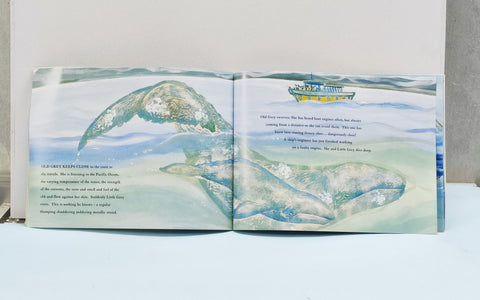 Whole Journey - BKLT51647