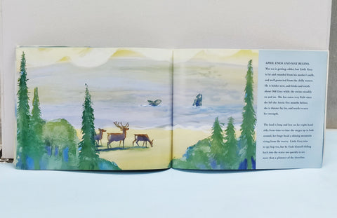 Whole Journey - BKLT51647