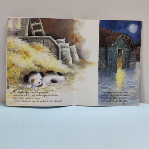 Fergus To The Rescue - BKLT51663