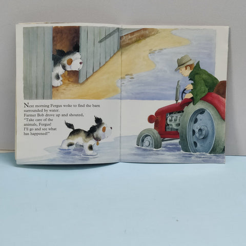 Fergus To The Rescue - BKLT51663