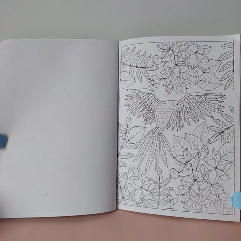 Creative Colouring - BKLT51737