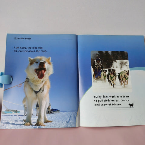 Ice Race - BKLT51741