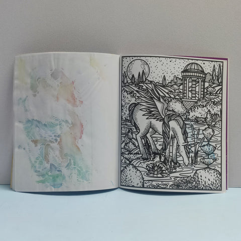 Usborne Unicorns Magic Painting Book - BKLT51789