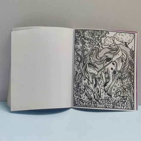 Usborne Unicorns Magic Painting Book - BKLT51789