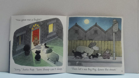Sam Sheep Can't Sleep - BKLT51792