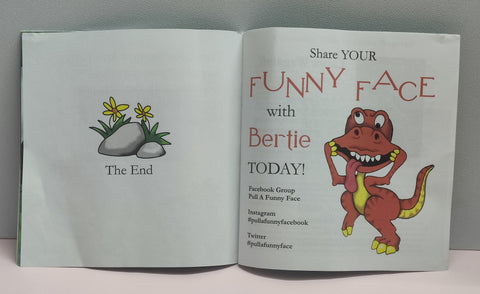 Pull A Funny Face - BKLT51873